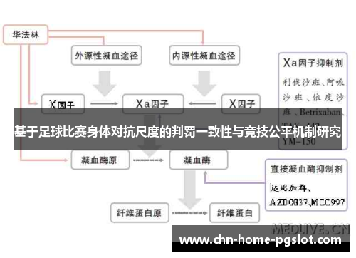 基于足球比赛身体对抗尺度的判罚一致性与竞技公平机制研究